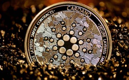 Cardano Bakal Luncurkan Hard Fork Vasil pada 22 September, Hoskinson: Roket Sudah Mengudara!