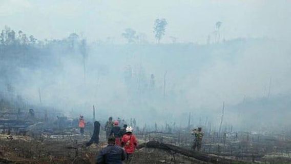 KLHK Sebut WWF Rugikan Reputasi Sendiri