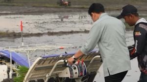 Ketika Gibran Rakabuming Menanam Padi dengan Cara Maju, Warganet Heboh