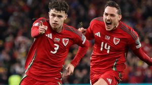 Taklukkan Finlandia, Wales Lawan Polandia di Final Play-off Euro 2024