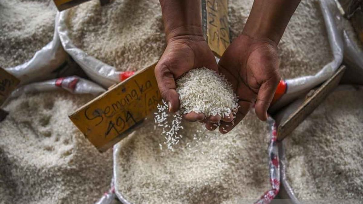 Rice Prices Are Increasingly Expensive, BPS Reveals The Cause