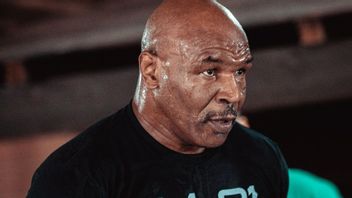 Tyson Warns, He Will Knock Out Logan And Jake Paul If He Gets Paid Rp. 14.3 Trillion