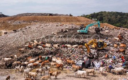 DLHK DIY Tunjuk 10 Desa Percontohan Kelola Sampah Mandiri