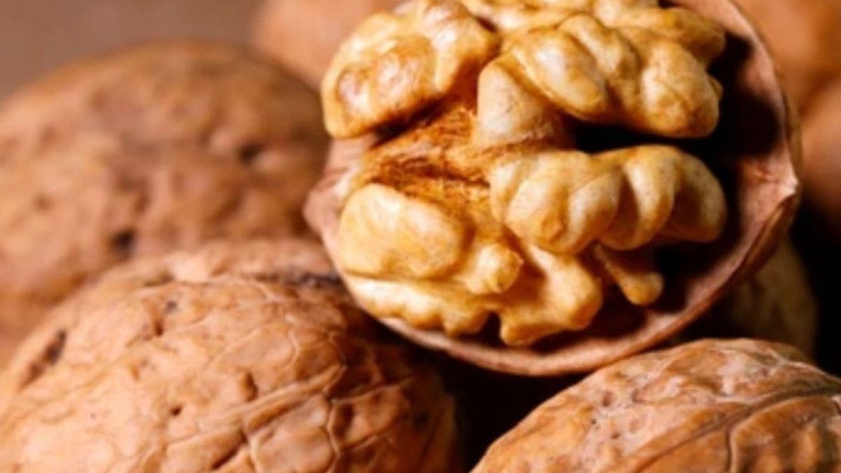 Manfaat Kacang Kenari: Mulai dari Jaga Kesehatan Otak hingga Bantu Melawan Depresi