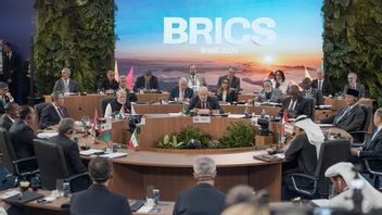 Palestina Sambut Baik Seruan Pemimpin BRICS Soal Gencatan Senjata dan Penarikan Pasukan Israel