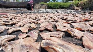 Kabar Baik dari Aceh Timur, Produksi Ikan Asin di Sana Capai 7 Ton per Minggu