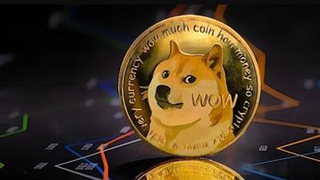 Dogecoin Soars, Other Meme Coins Fly