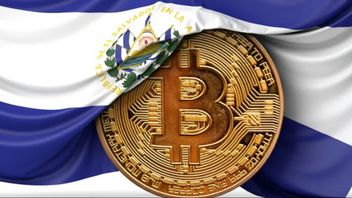 El Salvador Students Start Learning Bitcoin Through CUBO+ Government Program