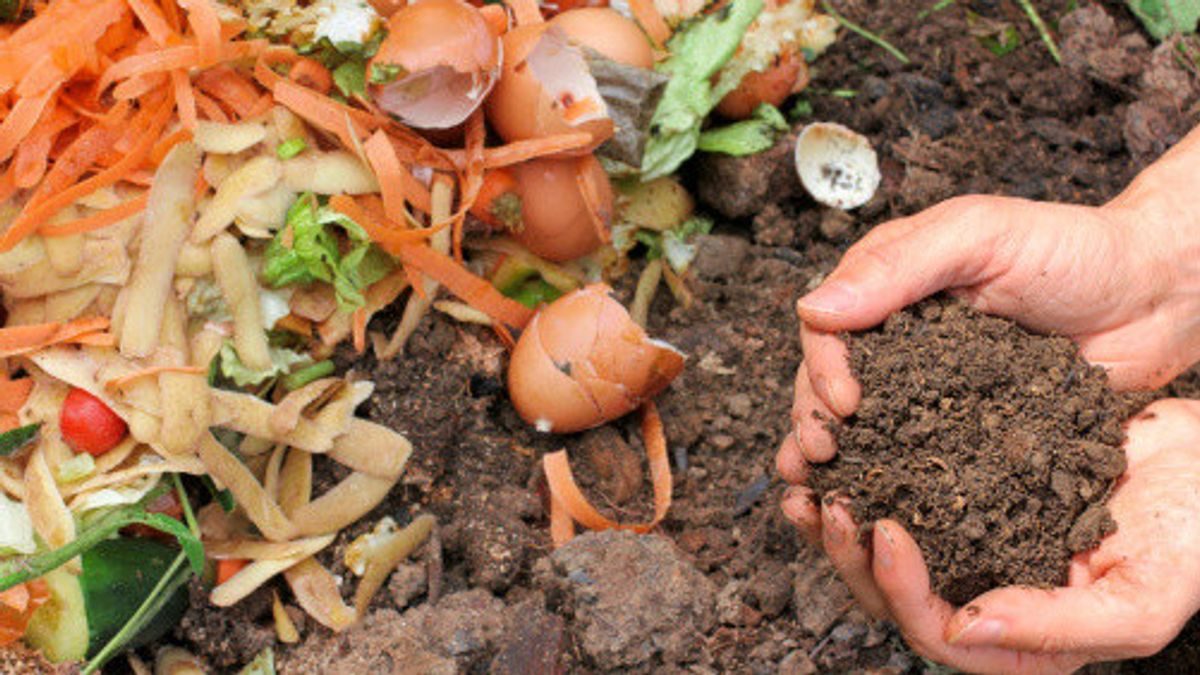 Don't Throw It Away, Here's How To Make Fertilizer From Food Waste At Home
