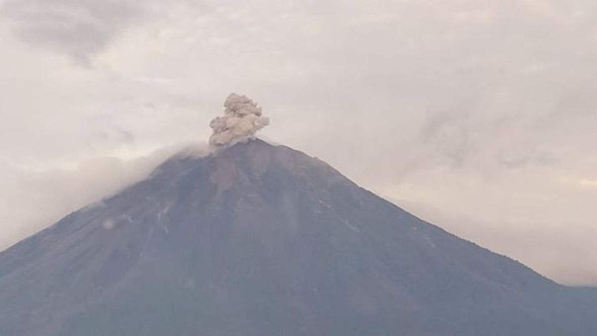 منذ صباح يوم السبت ، ثوران Semeru عدة مرات بارتفاع ثوران يصل إلى 700 متر