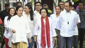 Megawati Is Advised To Leave The Chair Of The PDI-P Chairman To Puan Or Prananda