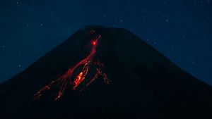 Info Gunung Merapi: Guguran Lava Pijar Meluncur 24 Kali ke Barat Daya