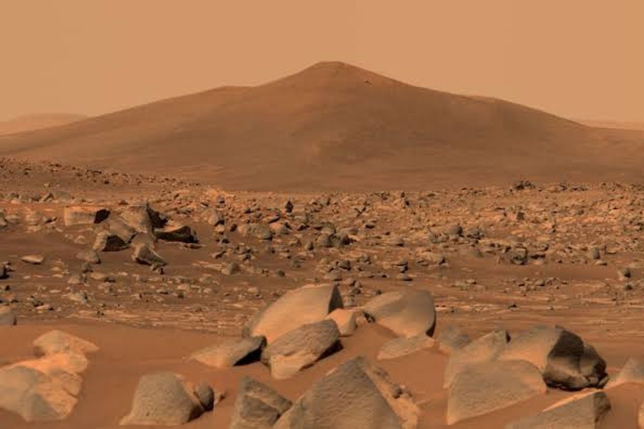 骨の損失を防ぐために、宇宙飛行士は火星に住んでいる間にこれを消費しなければなりません