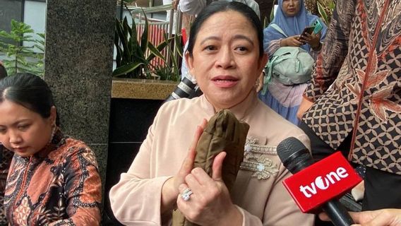 Puan Maharani Soal Pertemuan Lanjutan Megawati-Prabowo: Secepatnya, Insyaallah