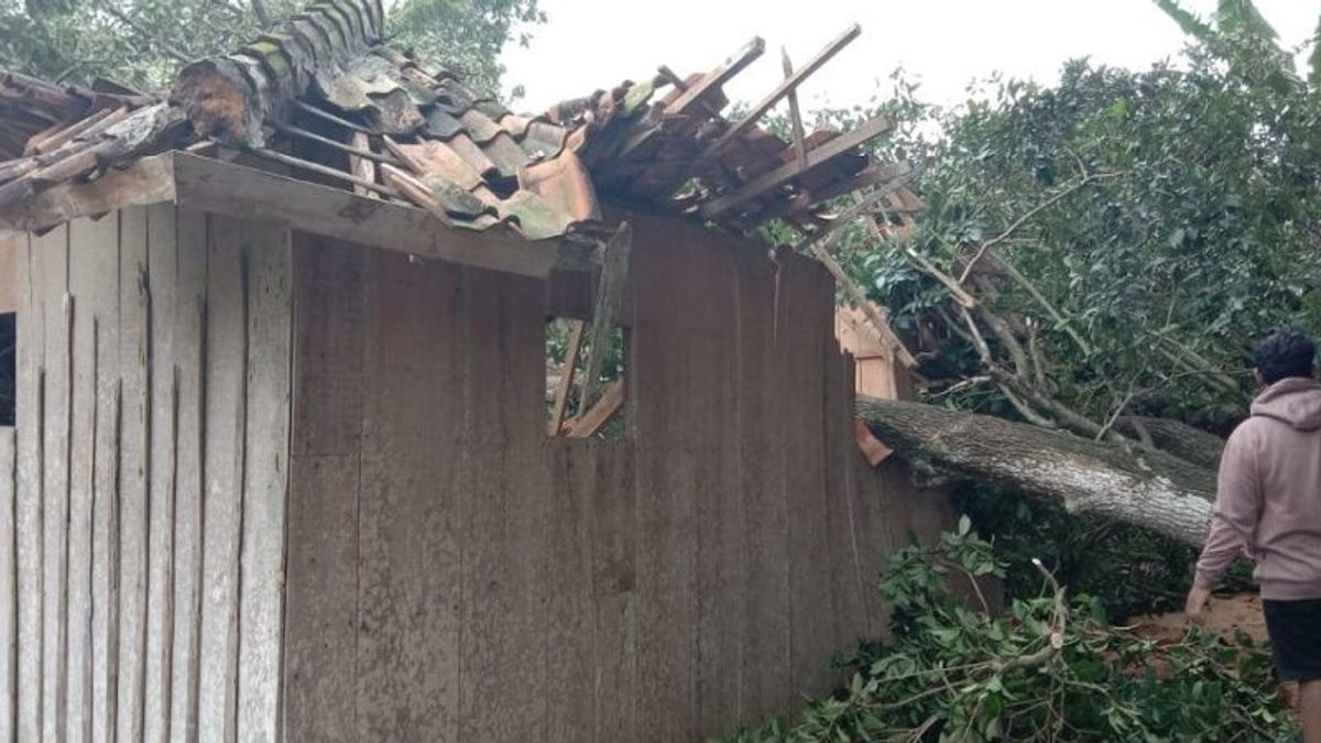 パメカサンの強風が木々を倒し、一部の建物に損傷を与える