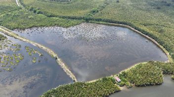 Kemenhut Wujudkan Desa Mandiri Peduli Mangrove melalui Perdes