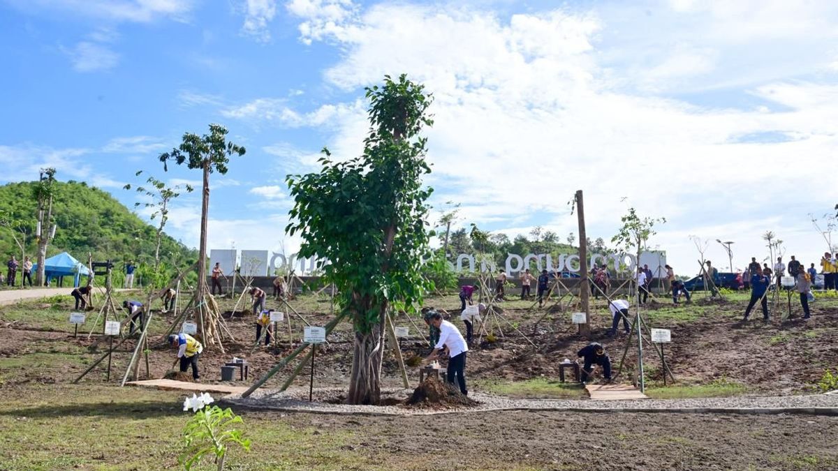 NTT的市民一起植树,佐科威:面对气候变化的真正行动