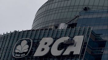 BCA تطلق Ocean، بوابة أعمال رقمية متكاملة للمؤسسات التجارية