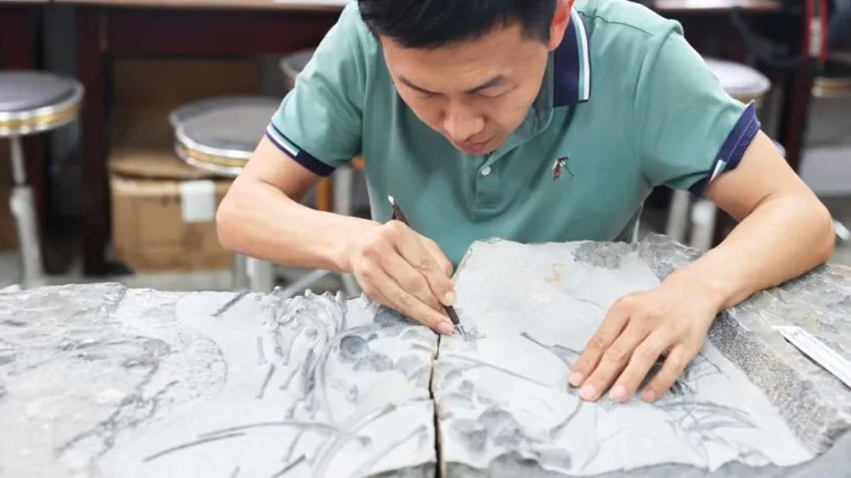 Penemuan Fosil Reptil Laut Berusia 250 Juta Tahun di China Selatan