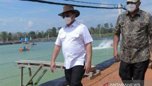 Gubernur Bangka Belitung Kembangkan Ekspor-Impor; PT Timah Perdalam Alur Pelabuhan Belinyu