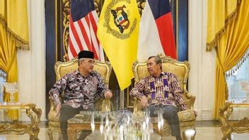 廖内-马来西亚讨论滚装运输和马六甲-鲁帕特杜迈大桥