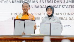 Kementerian ESDM dan BPS Mantapkan Data Penerima Subsidi Energi