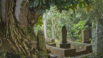 273 corps d'enfants retrouvés dans un trous tombé de 3,6x3,6 à Oldham, en Grande-Bretagne