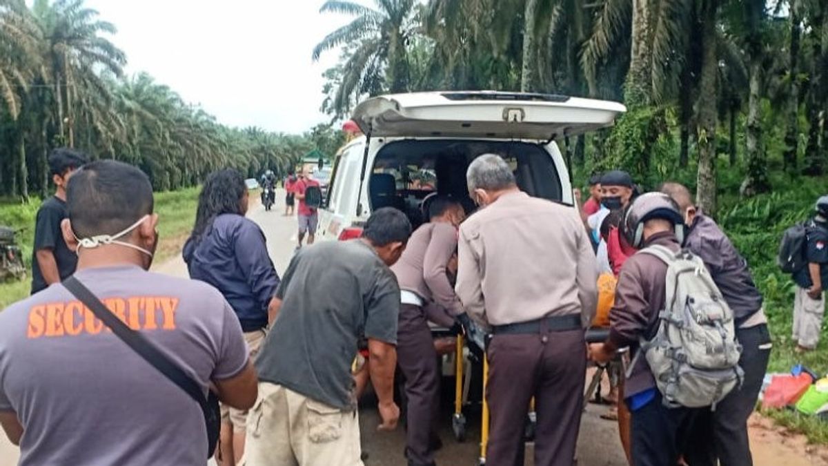 Livina's Car Hits A Palm Tree In Sanggau, West Kalimantan, 5 People Die Orang