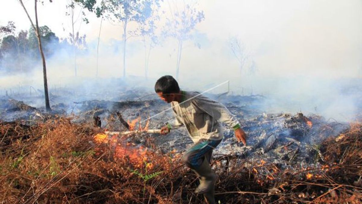    2 Pembakar Lahan di Rokan Hilir Ditangkap Polisi