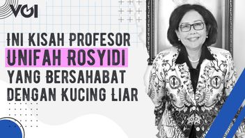 VIDEO: This Is The Story Of Professor Unifah Rosyidi Who Is Friendly With Stray Cats