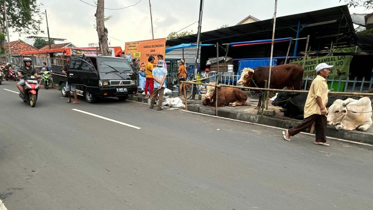 Sidewalk Taken Over By Sacrificial Animal Traders, Central Jakarta Mayor's Order As Ignored