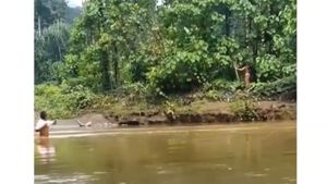 Viral Video Suku Togutil Halmahera Panah Warga yang Seberangi Sungai, Ini Kata Polisi