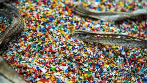 Mengerikan, Mikroplastik Diam-Diam Bersarang di Otak Manusia