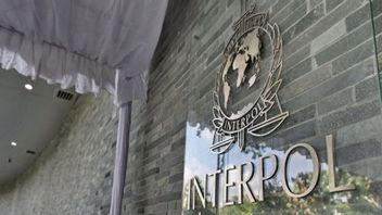 Riza Chalid dan Jurist Tan Belum Tersentuh, Interpol Masih Telaah Red Notice dari Polri