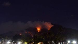 BMKG Sebut Wilayah NTT Berstatus ‘Sangat Mudah Terbakar’, Rentan Karhutla