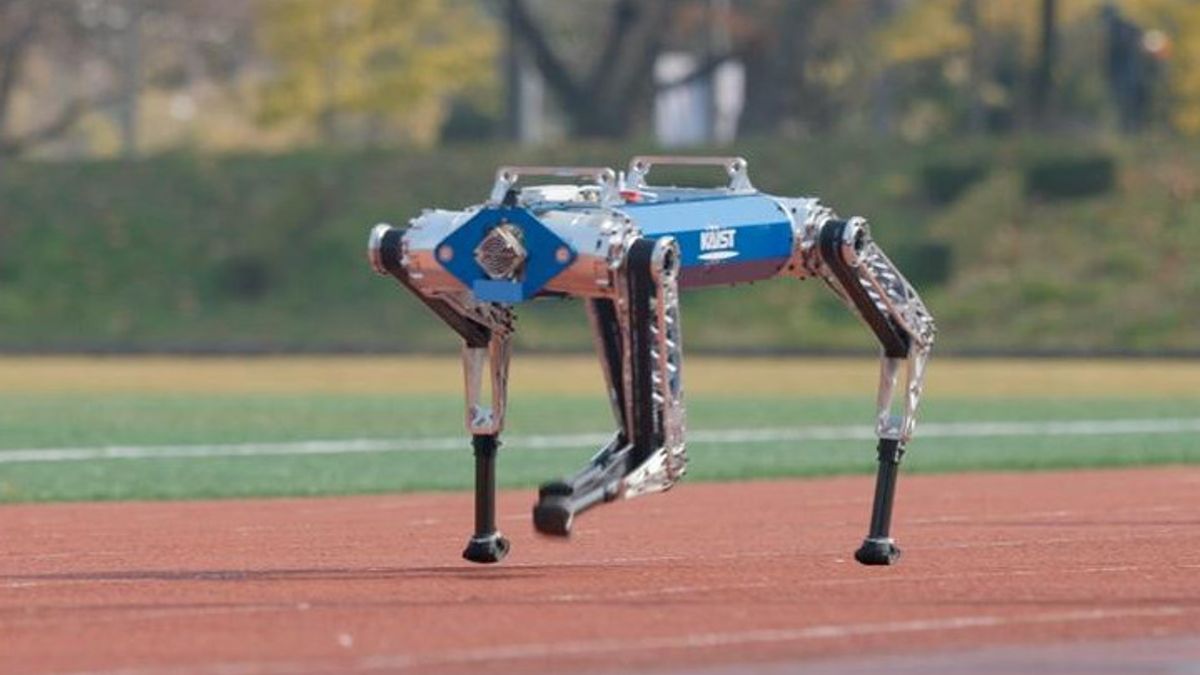 Le robot Hound KA Dept remporte avec succès le record mondial de 100 mètres d’air, un concurrent américain sur la piste