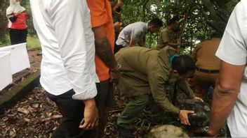 شرطة سومطرة الغربية تعتقل مهربي الحياة البرية غير الشرعيين وتطلق سراح الحيوانات وتعود إلى موطنها