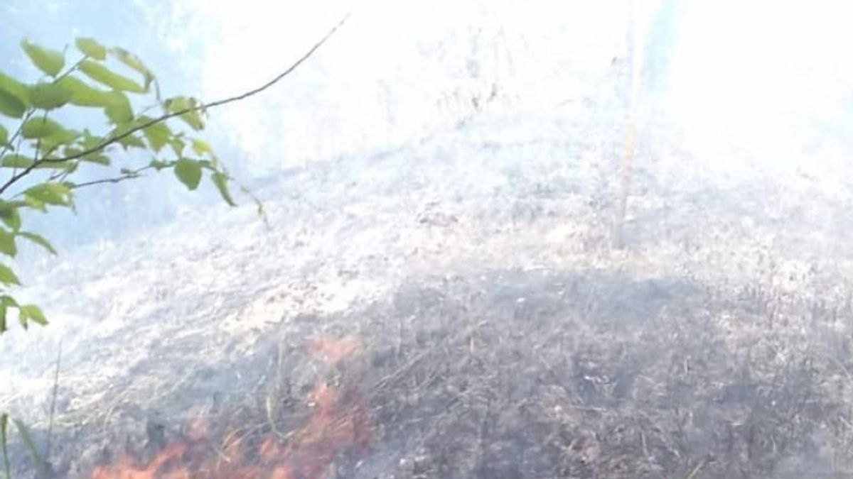 حرق 5 هكتارات من الأراضي في آتشيه في منتصف موسم الجفاف