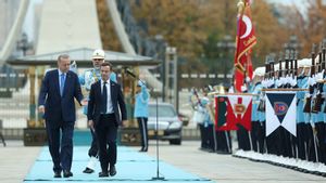 Dukung Keanggotaan NATO, Turki Ingin Swedia Penuhi Kewajiban