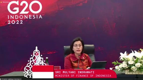 G20 Meeting Tense, Sri Mulyani Reveals Global Digital Tax Plan Is The Cause