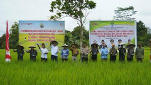 Le ministère soutient l’ouverture de 10 000 hectares de terres agricoles à Kaltara