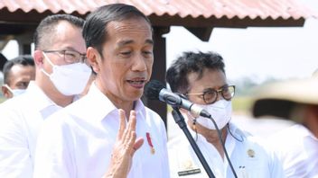 President Jokowi Signs Rules For The Elimination Of Violence Against Children