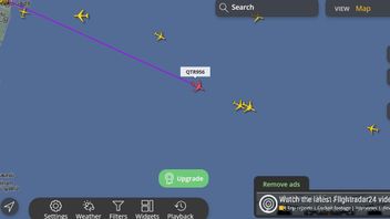 更新エリルの体の帰還、リドワンカミルの息子:11.10 WIBで、飛行機はインド洋を渡る