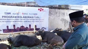 埃里克·托希尔（Erick Thohir）赞赏Himbara在西爪哇和万丹分发100头献祭奶牛的行动