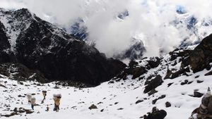Salju dan Hujan Lebat Landa Himalaya, Ratusan Pendaki Sempat Terdampar di Everest