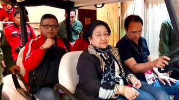 Amnesty To Hasto Is Considered A Commemoration For Jokowi Loyalists In Prabowo's Government