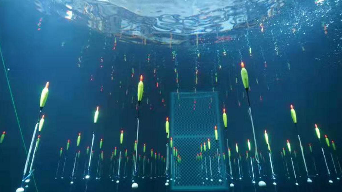 TRIDENT: The Biggest Neutrino Detector In China's Artificial World