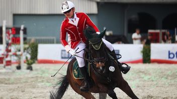 马术卡博尔的目标是奥运会通过