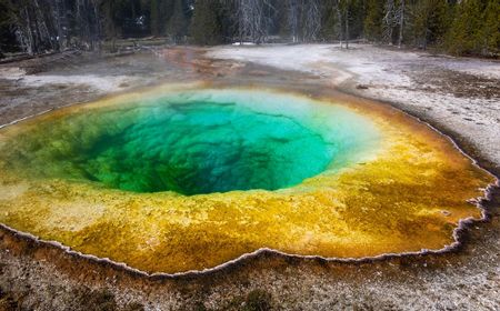 Penemuan Virus Raksasa di Yellowstone: Petunjuk tentang Kondisi Kehidupan Purba di Bumi