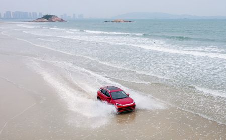 Turun dan Digempur Merek Lokal, VW, Toyota, Honda, dan Tesla Masih Diminati di Pasar Otomotif China Semester 1-2024